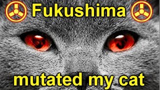 FUKUSHIMA MUTATED MY CAT [upl. by Ecirual]