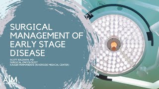 Surgical Management of Early Stage Melanoma [upl. by Thilda842]