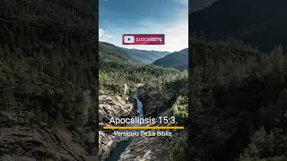 Apocalipsis 153 Versículo De La Biblia [upl. by Garv468]