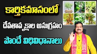 కార్తికంలో దేవతా వృక్షాల దగ్గర ఏం చెయ్యాలి   karthika Masam  Machiraju Kiran Kumar [upl. by Reena697]