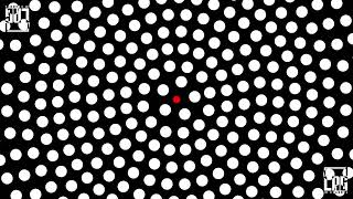 Insane Spinning Dots Optical Illusions [upl. by Anestassia]