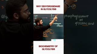 Dehydrogenase  Glycolysis  Respiration  Dr Niladri Deb  ​⁠factionbio1166 [upl. by Harilda]