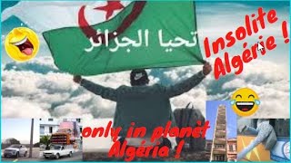 Insolite Algérie toutes les inventions algériennes unique sur planète Algérie [upl. by Enelyak]