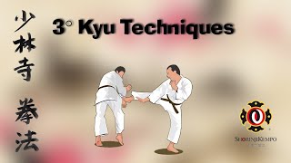 Shorinji Kempo  3 kyu techniques [upl. by Loredana537]