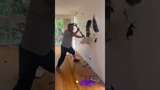 broke the whole house with a hammer shortsvideo [upl. by Weider495]