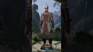 Paladin Oath breaker Level Up Baldurs Gate 3 shortvideo baldursgateiii baldursgate3game [upl. by Ahsienroc]