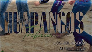 Los Obligados  Huapangos tribaleros VIDEO OFICIAL huapangos [upl. by Lemaceon]