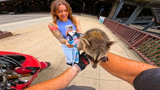 Riding With My RACCOON In DOWNTOWN Chicago [upl. by Ailito]