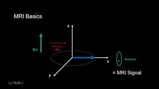 Introduction to MRI Basics 1  How we get Signal [upl. by Oriane187]