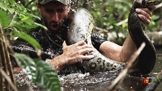 Eaten Alive Sneak Peek  Sun Dec 7 98c on Discovery [upl. by Ydur]