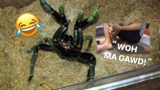 Arachnophobic friend FEEDS my TARANTULAS for the FIRST TIME  “Whoaa my goshhh” [upl. by Nrev]