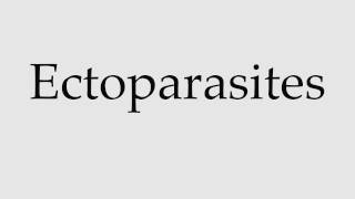 How to Pronounce Ectoparasites [upl. by Dyana]