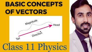 Basic Concepts of Vectors Class 11 Physics [upl. by Oralia]