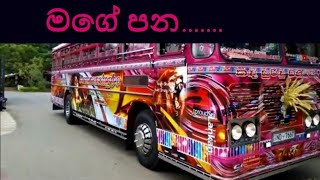 mage pana sudu 2 bus horn Sri lankan super bus  Sri Lankan super bus air horn sudu song [upl. by Maitund548]