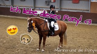 1 Reiterwettbewerb  Turniersieg  Marina und die Ponys [upl. by Ilene]