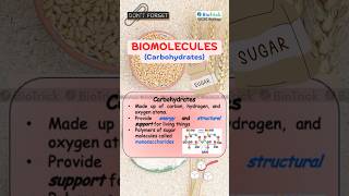 Biological Molecules  IGCSE Biology O amp A Level  Cambridge Biology igcsebiology cambridgebiology [upl. by Tennos]