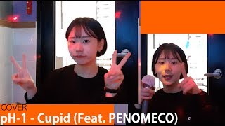 혼코노  pH1 Cupid Feat PENOMECO Cover  피에이치원 큐피트 커버 [upl. by Pavlish]