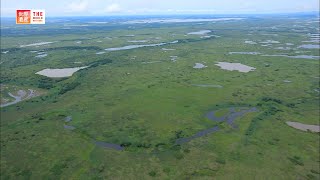 Pantanal Conservation Area Brazil  TBS [upl. by Adanar]