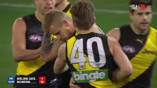 Qualifying Final 2  Geelong v Richmond Highlights [upl. by Averyl]