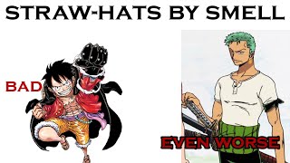 Ranking the Straw Hat Crew by Smell [upl. by Ihtraa188]