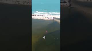 Prainha  Aquiraz  Ceará  Brasil  FluiDrone [upl. by Tutto]