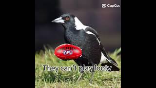 For the record guys I didnt make this video saw it on capcut 🤣❤️💙💛uncaged brisbanelions afl [upl. by Kanya]