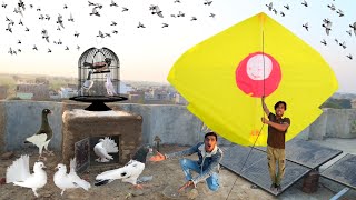 Kite Flying amp Buy New Kabooter Nasir [upl. by Anelehs679]