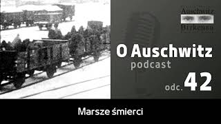 quotO Auschwitzquot odc 42 Marsze śmierci z Auschwitz do Wodzisławia Śląskiego i Gliwic [upl. by Dnob311]