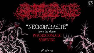 Effluence  Necroparasite Song Premiere [upl. by Enoek]