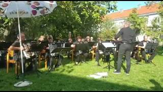 AKKORDEON ORCHESTER WIEN 99 2018  Konzertausschnitt [upl. by Linoel859]