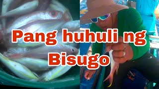 Isdang Bisugo  Pang huhuli fishing fishing fishingvideo viralvideo fish [upl. by Ylenaj919]