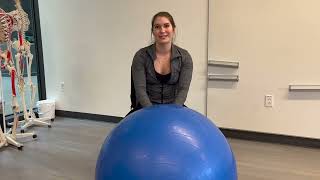 University of Hartford Doctor of Physical Therapy CSM Fundraising Video [upl. by Notlimah]