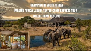 Imagine Africa Luxury Tented Camp Express Tour Glamping in South Africa Balule Game Reserve [upl. by Enirehtahc520]