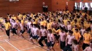 SBHS House Haka Competition 2008 [upl. by Mervin]