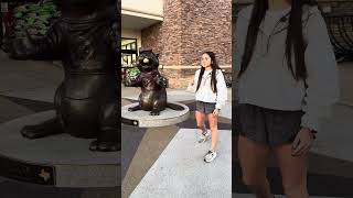 BUCCEES BUY OR BYE costco asiangrocery groceryhaul walmart onlinegroceryshopping fitness [upl. by Novled]