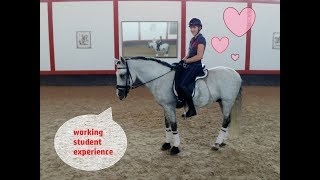 lezione di dressage Working student experience  IKequestrian [upl. by Ij434]