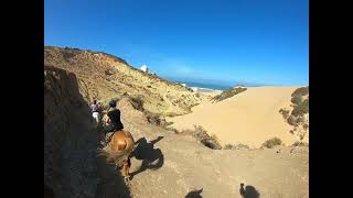 Chevaux qui approchent de locéan en rando avec Amazir Cheval  horsetrekking desert amp beach dunes [upl. by Hickey933]