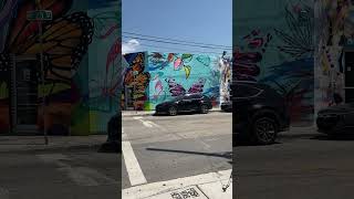 Wynwood Walls art work in Miami Florida ✨ wynwoodwalls artmiamistreetview sunnyday [upl. by Loise]