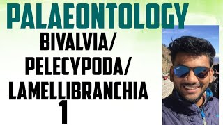 palaeontology lecture series bivalvia pelecyopoda lamellibranchia part12 [upl. by Reggie]