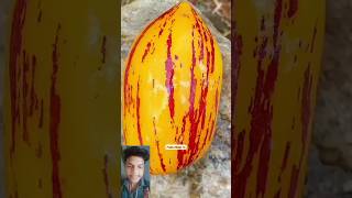 Trending fruits p 91 Enjay beautiful Nature life shorts youtubeshorts fruits village10trending [upl. by Iznik889]