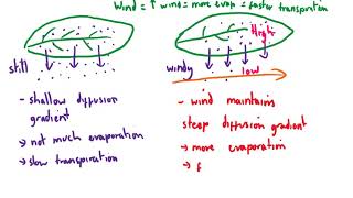 CCEA GCSE Biology Unit 2 Osmosis and plant transport 5 transpiration experiments [upl. by Dalton]