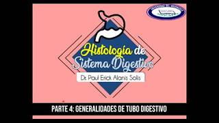 Histología de Sistema Digestivo 4  Tubo digestivo [upl. by Souvaine]