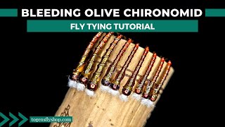 Bleeding Olive Chironomid  Fly Tying Tutorial [upl. by Etnaihc478]