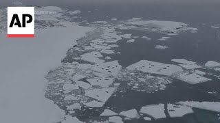 Scientists say melting Antarctic iceberg poses major sea level threat [upl. by Khalid]