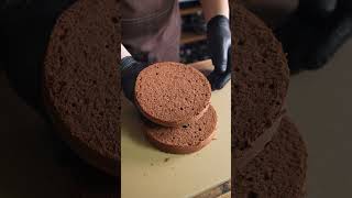 How to make Sachertorte ザッハトルテの作り方 shorts asmr cooking [upl. by Merriman374]