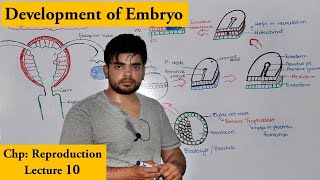 Gastrulation  Development of Human Embryo [upl. by Anilrahc484]