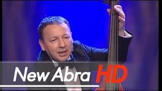 Zbigniew Zamachowski amp Grupa MoCarta  Bal u Grubego Jośka DVD [upl. by Alahc]