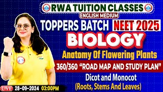 NEET 2025 English Medium Biology  Anatomy In Flowering Plants Imp PYQs By Vandana Mam [upl. by Jud669]