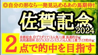 【佐賀記念2024】◎前走はかなり厳しいレースでも踏ん張っており今回自分の形に持ち込めそうなあの馬から勝負だ！ [upl. by Oecam]