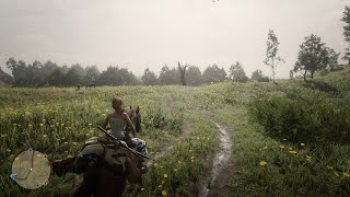 Red Dead Redemption 2 Online Kidnapping Day 26 [upl. by Kraus20]